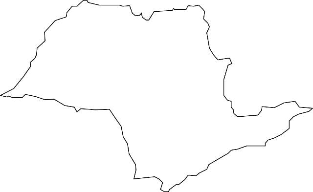Karta över São Paulo-vektor